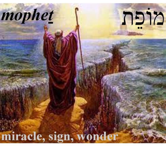 Hebrew Word of the Day (mopheth)