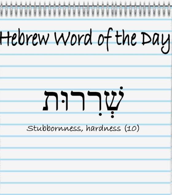 Hebrew Word of the Day (stubbornness)